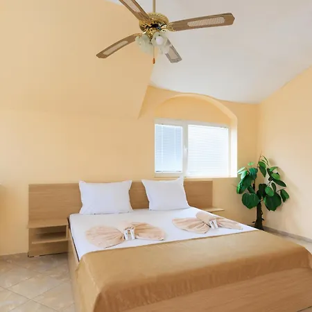 Angy 2* ゴールデンサンド